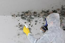 Mold Remediation for Vacation Homes in Washington, GA